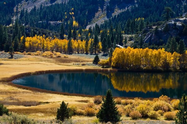 Montagnarde. Paysage. Lac. Forêt