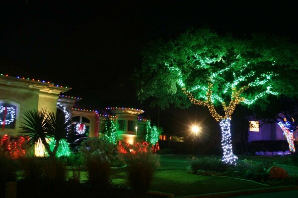 Trees and a house decorated with garlands on the background of the night