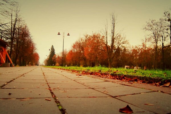 Urban autumn landscape from an unusual angle