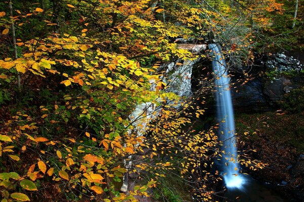 Berg Wasserfall in einem ruhigen Herbstwald