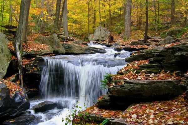 Ruhiger Wasserfall an einem ruhigen Fluss im Herbstwald