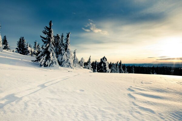 Wanderweg an frostigen Wintermorgen