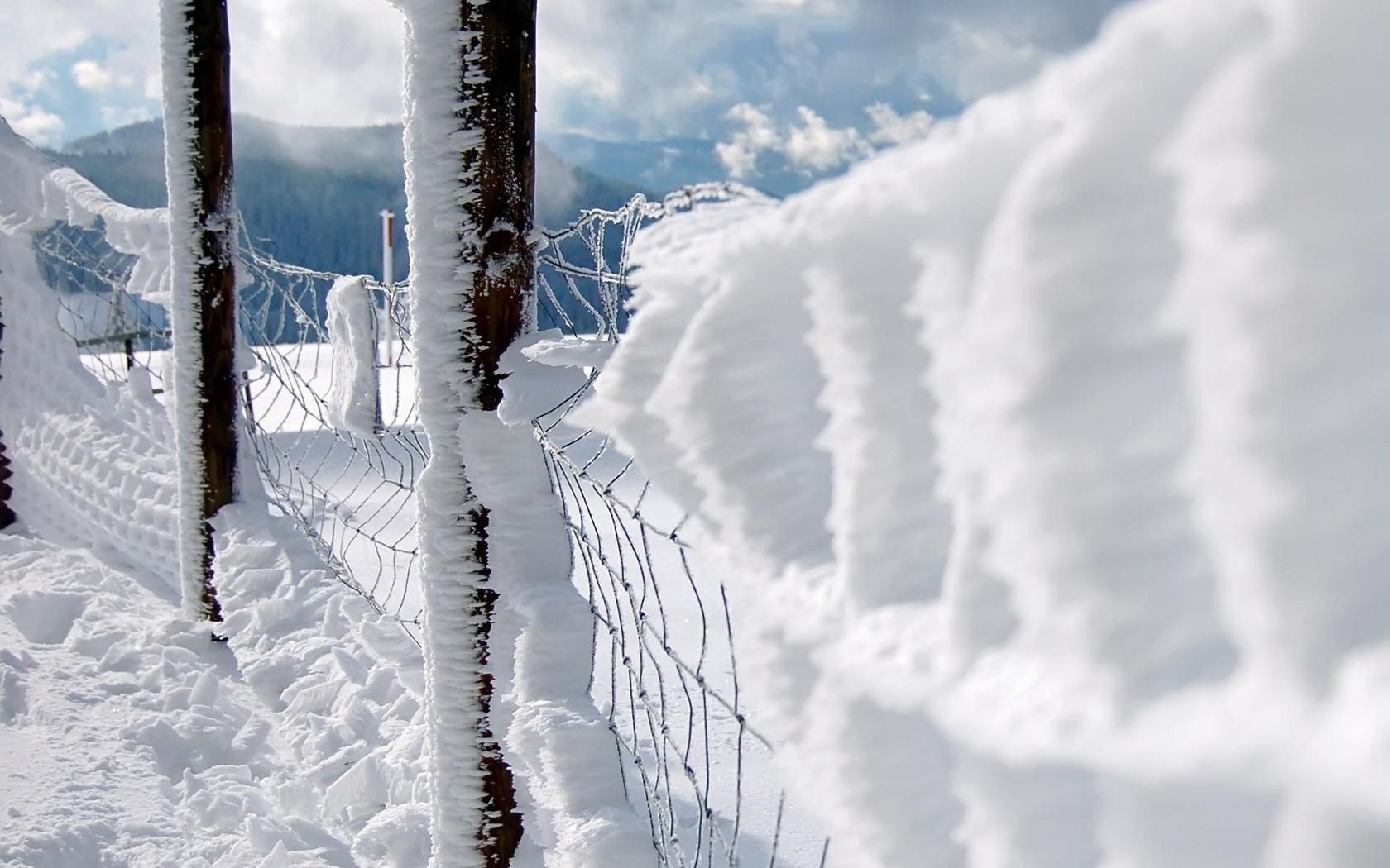 冬天 雪 冷 霜 冰 户外 冰冻 自然 山 木 高 天气 天空 季节