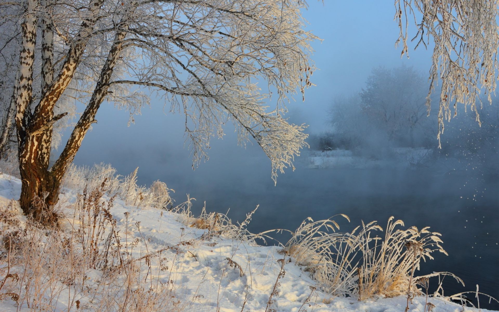 ríos estanques y arroyos estanques y arroyos invierno nieve árbol escarcha frío madera paisaje naturaleza temporada tiempo congelado hielo rama amanecer buen tiempo al aire libre escena niebla escénico