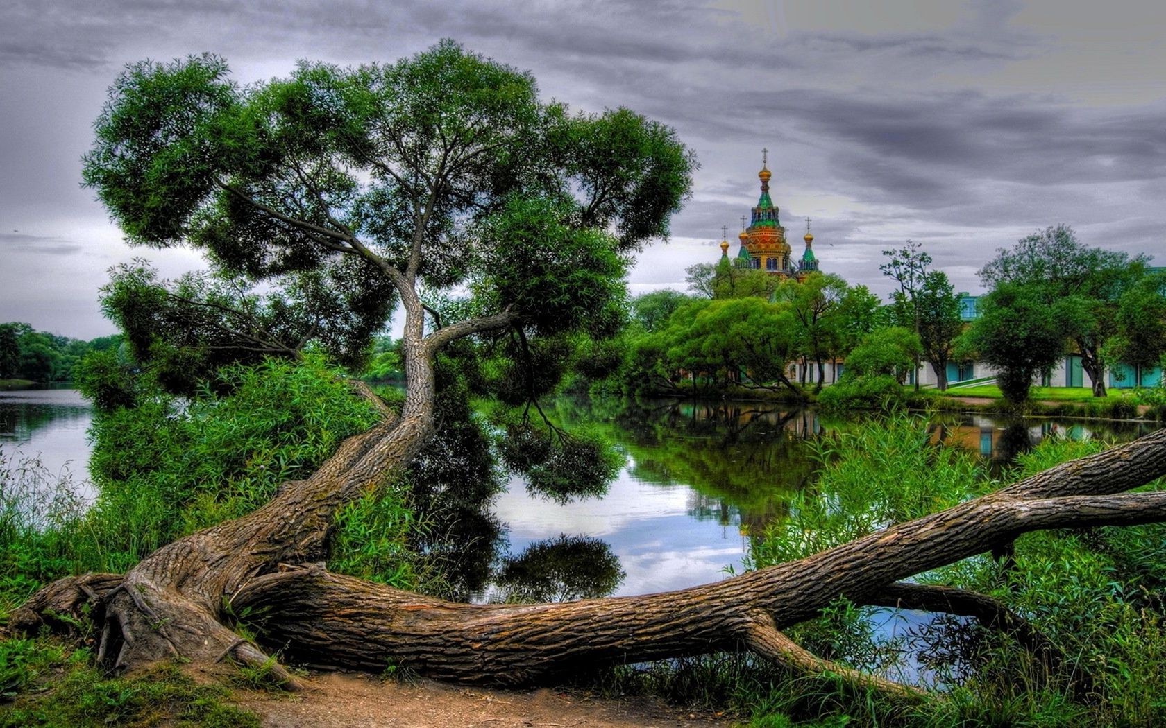 trees tree nature landscape water travel wood outdoors lake park sky grass leaf river scenic summer