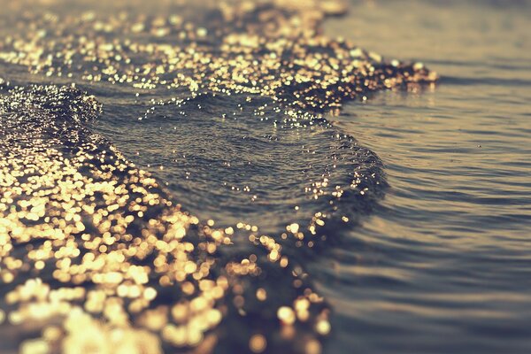 The wave sparkles in the sunlight