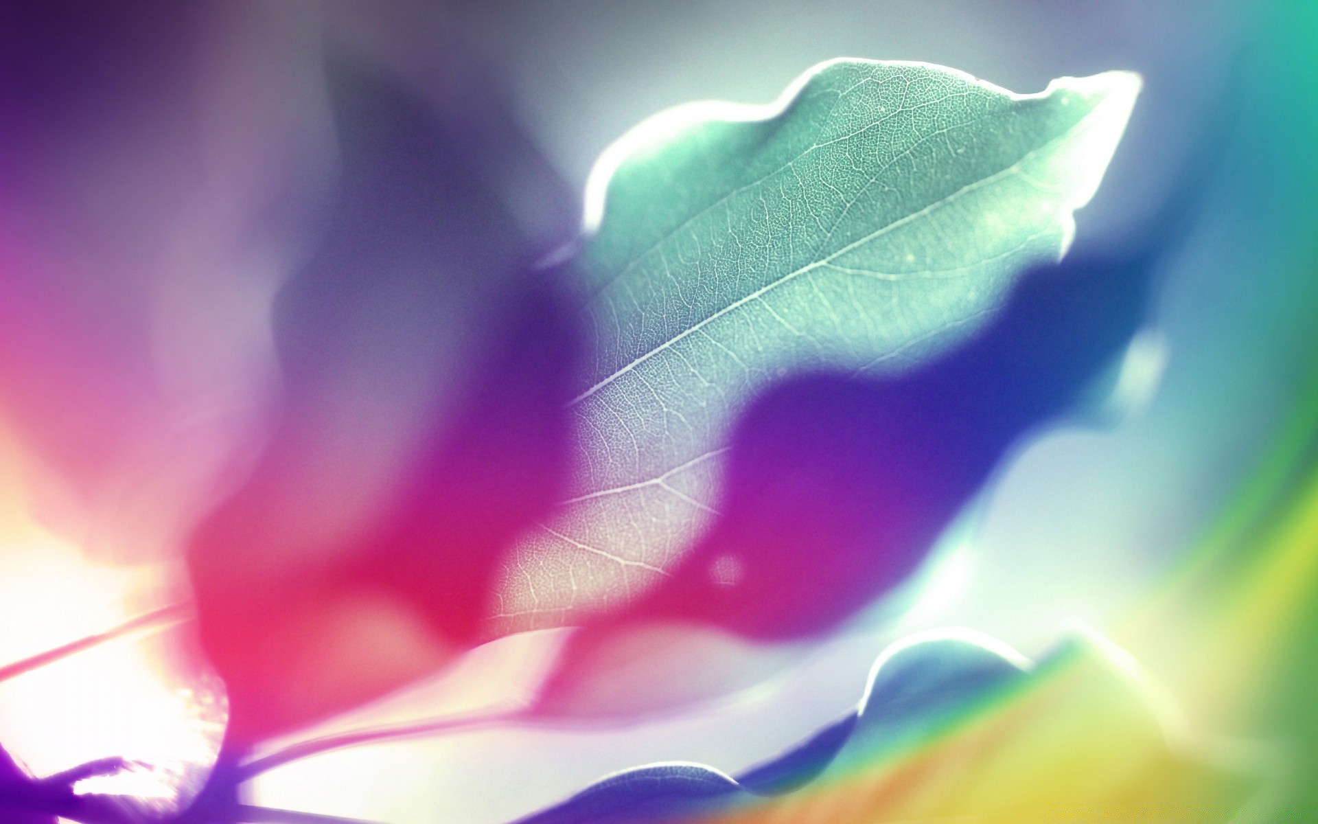 bright colors abstract blur art color light desktop bright design wallpaper illustration texture decoration luminescence background graphic element artistic shining vibrant nature