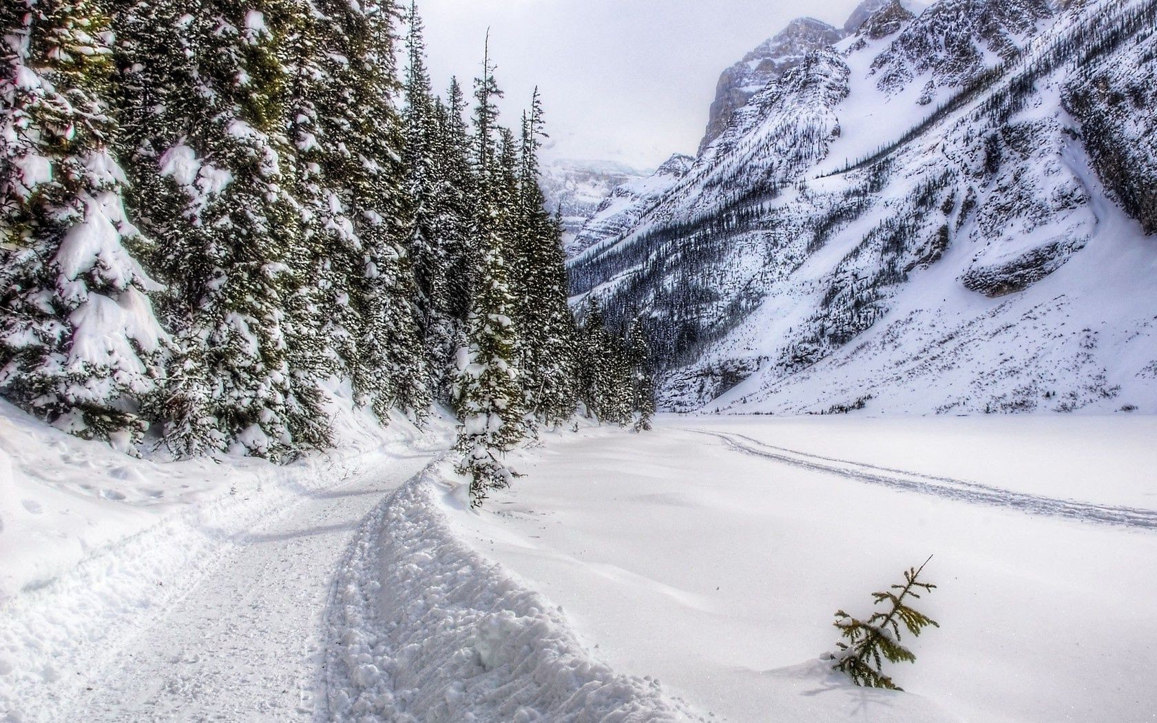 inverno neve montagna freddo paesaggio legno gelo scenico ghiaccio albero stagione congelato natura collina nevoso pista meteo