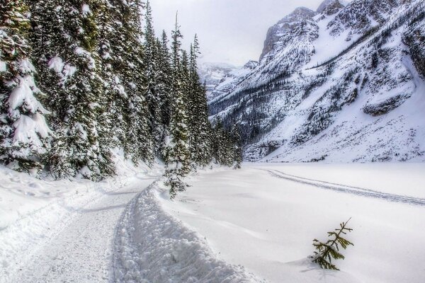 Winter landscape of forests and mountains