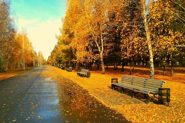 Golden autumn in a deserted park