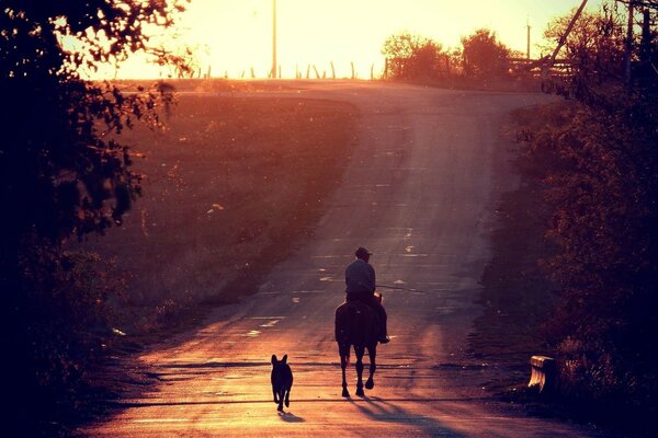 A rider on a horse and a dog are walking along the road