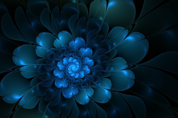 Graphic flower on a blue background