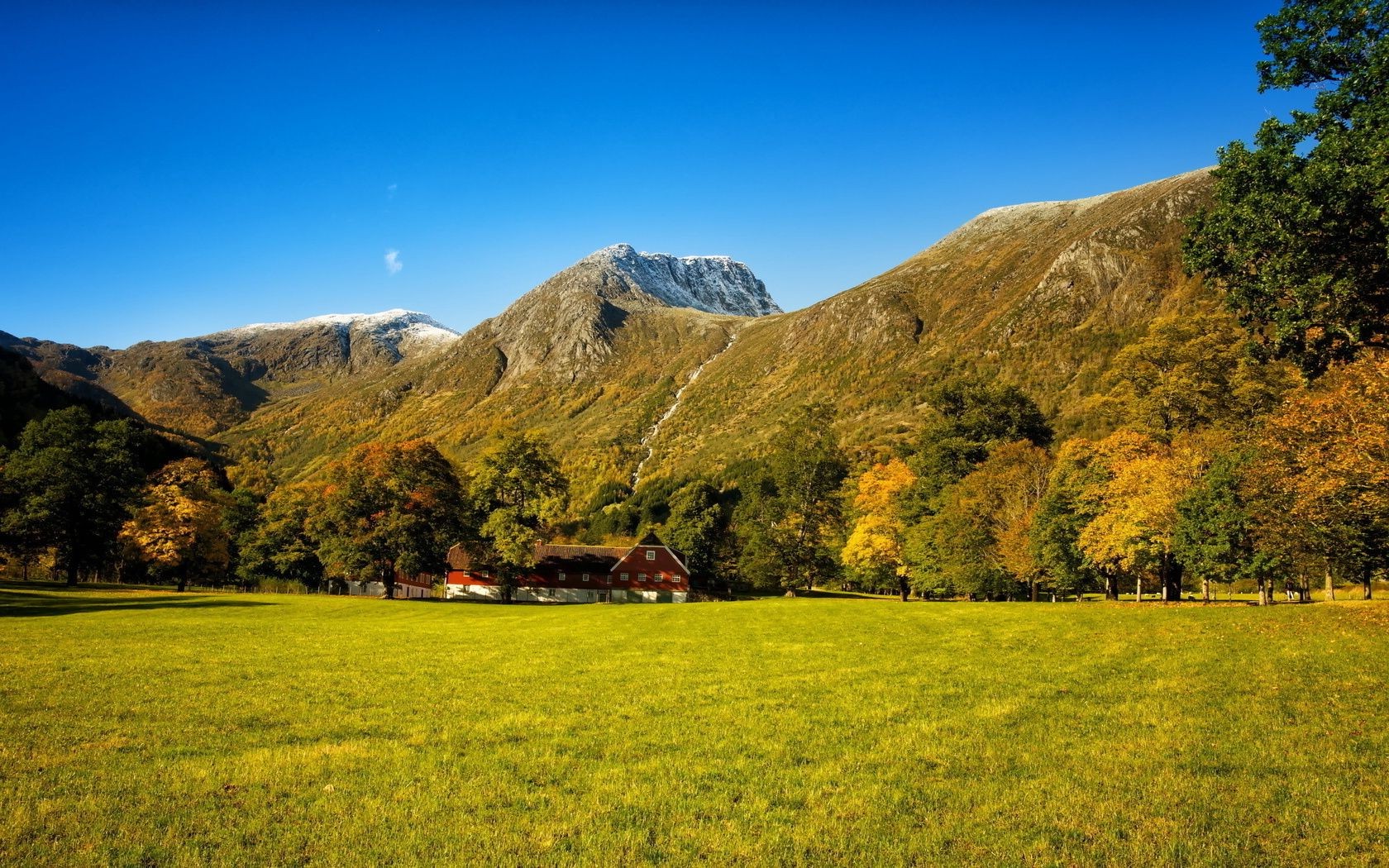 forest landscape mountain nature outdoors travel sky tree scenic grass summer wood hill countryside rural valley