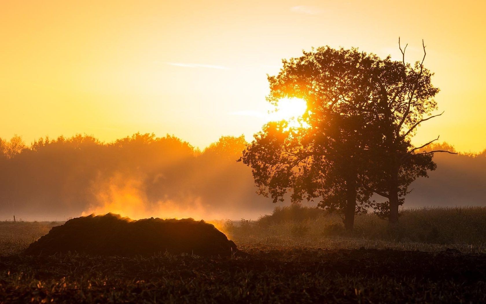 sonnenuntergang und dämmerung sonnenuntergang dämmerung sonne landschaft abend silhouette natur hintergrundbeleuchtung himmel nebel baum dämmerung gutes wetter im freien licht nebel