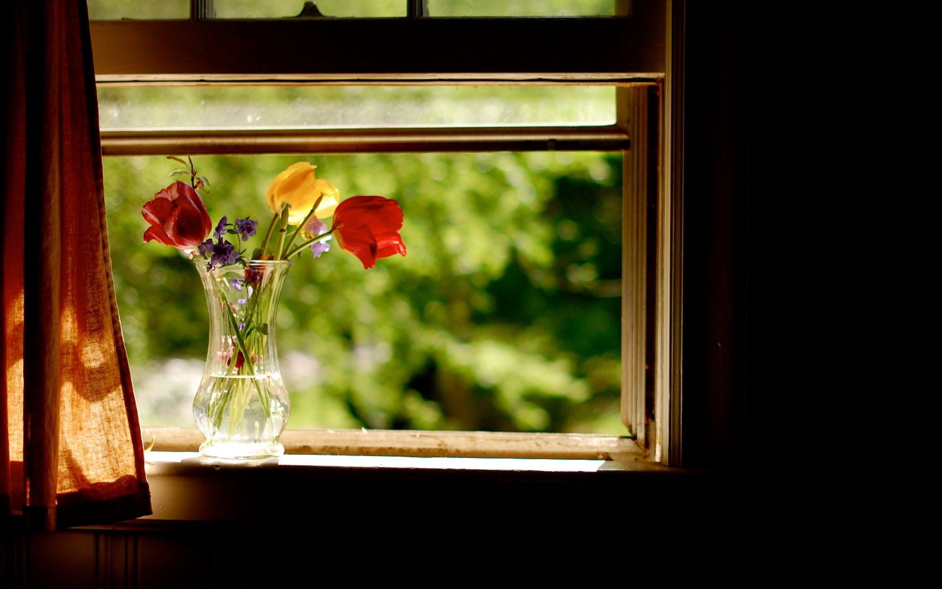 blumen fenster holz blume drinnen haus familie möbel dekoration bilderrahmen zimmer