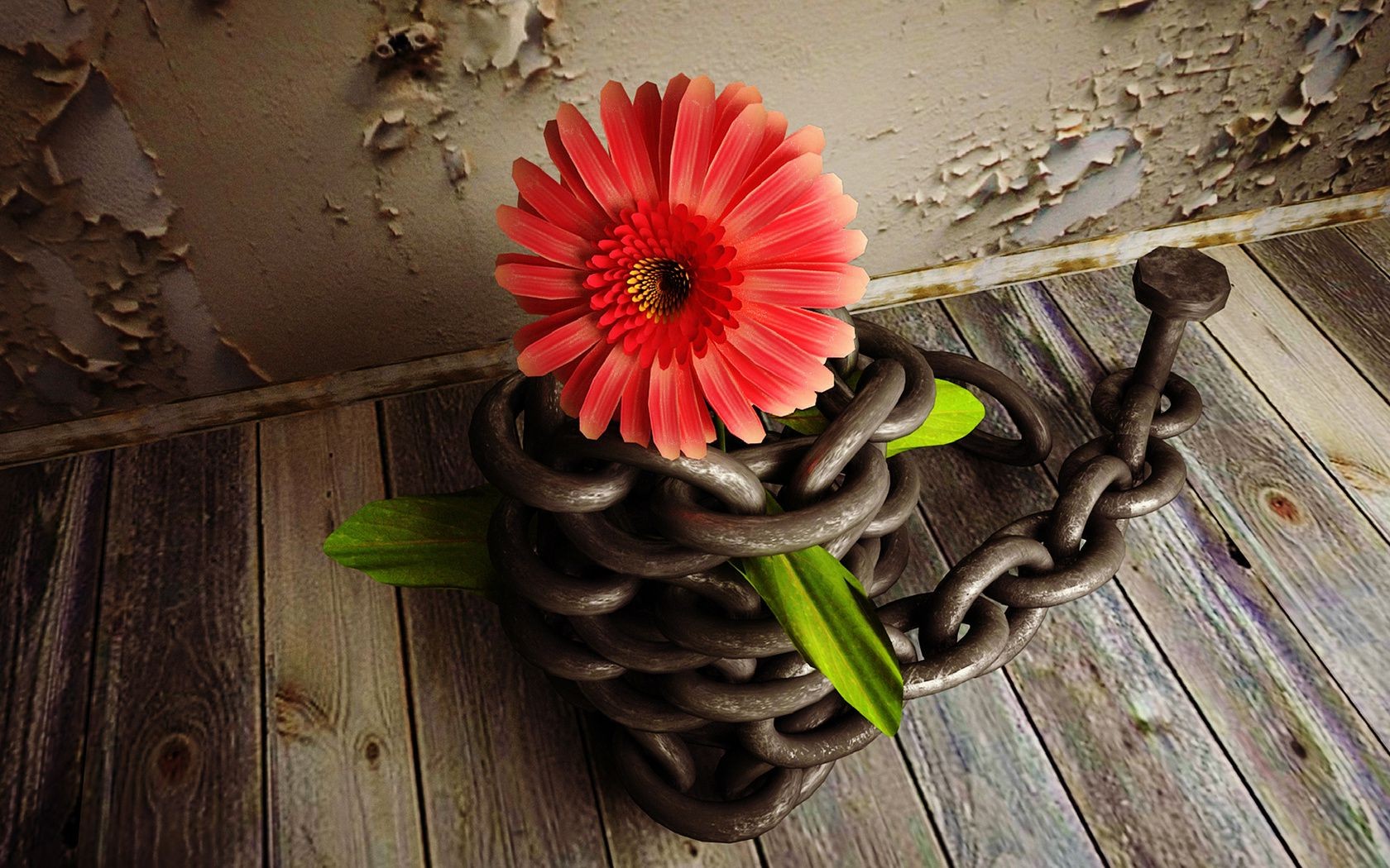 flowers wooden wood desktop rustic flower decoration close-up flora