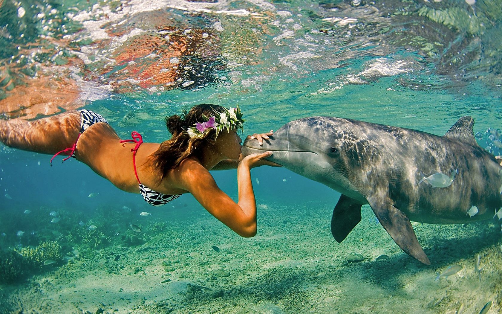 love and romance underwater water swimming ocean sea diving snorkeling nature summer tropical fish fun wet water sports recreation travel leisure vacation turquoise