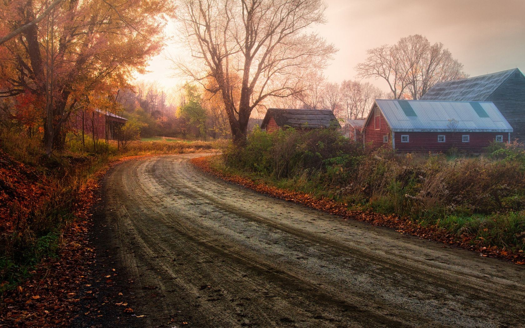 sonnenuntergang und dämmerung straße landschaft baum dämmerung herbst im freien natur sonnenuntergang reisen holz guide licht abend