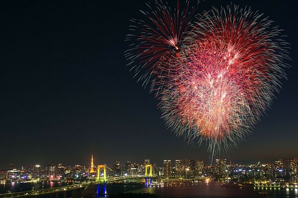 Feux d artifice et saluts au fond de la ville