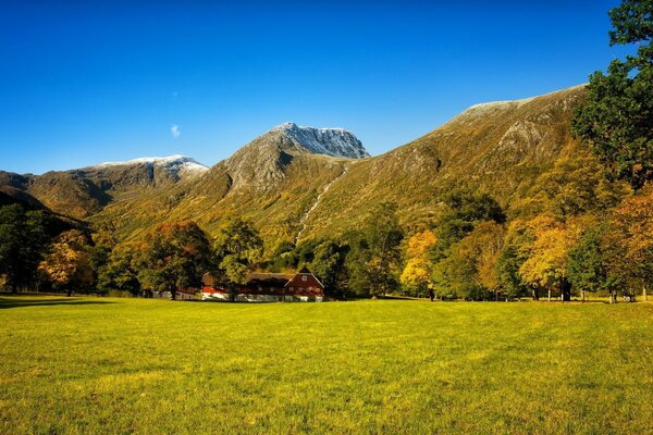 Ein Dorf am Fuße eines Waldes in den Bergen