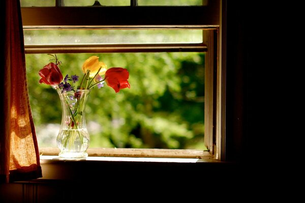 Blanco y dos rosas rojas de pie en la ventana