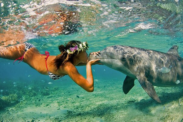 Mädchen küsst einen Delphin unter Wasser