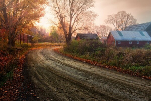 Autumn. A road in a quiet village