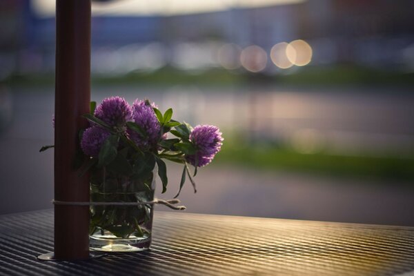 Einsamer Blumenstrauß aus Wildblumen in einem Glas