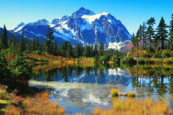 Berge in einer Herbstlandschaft mit Pinien