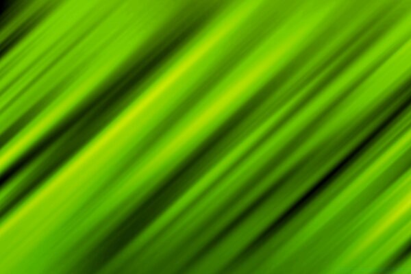 Green leaf desktop background