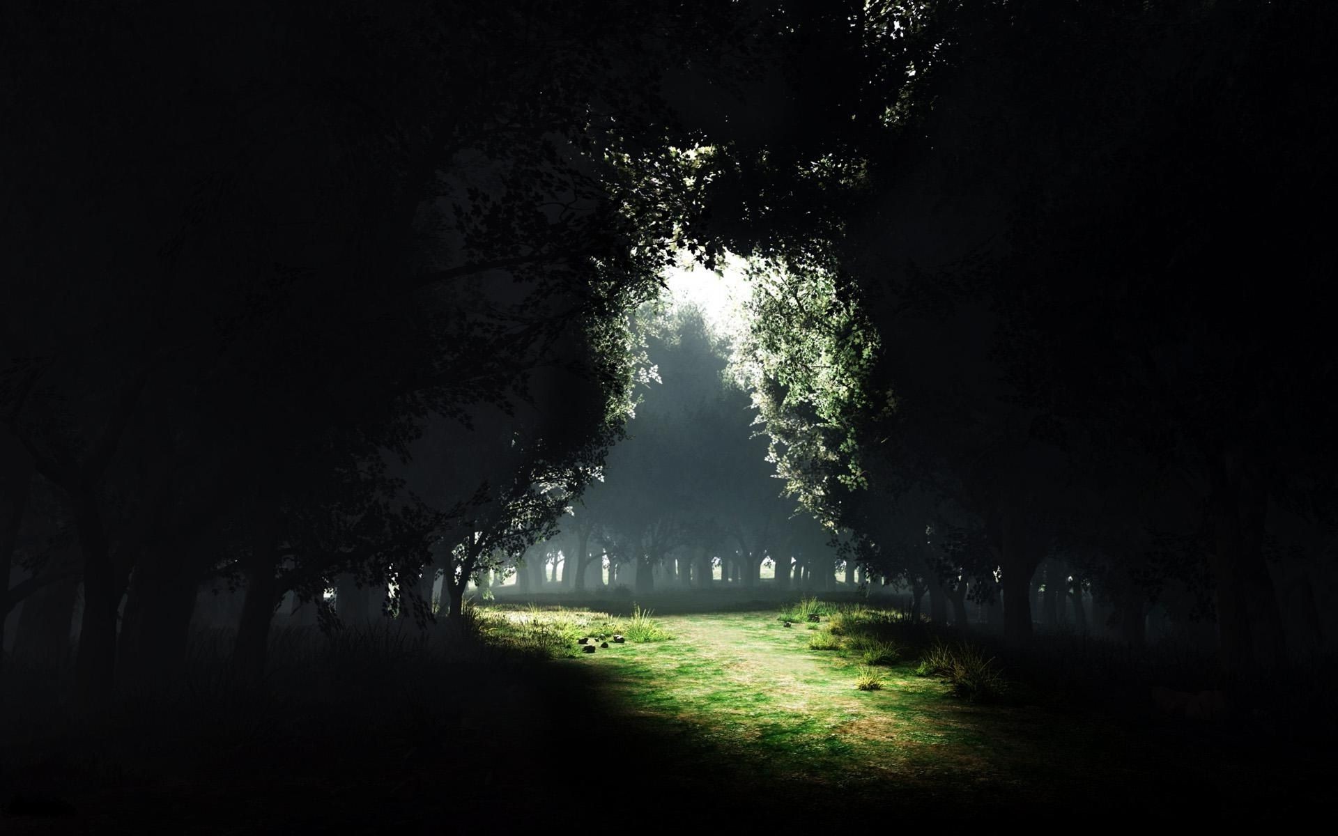 straße nebel nebel baum licht landschaft dämmerung natur im freien dunkel