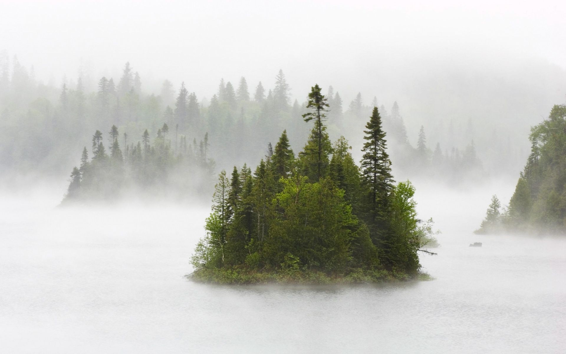 islands fog landscape wood mist nature tree snow winter water outdoors