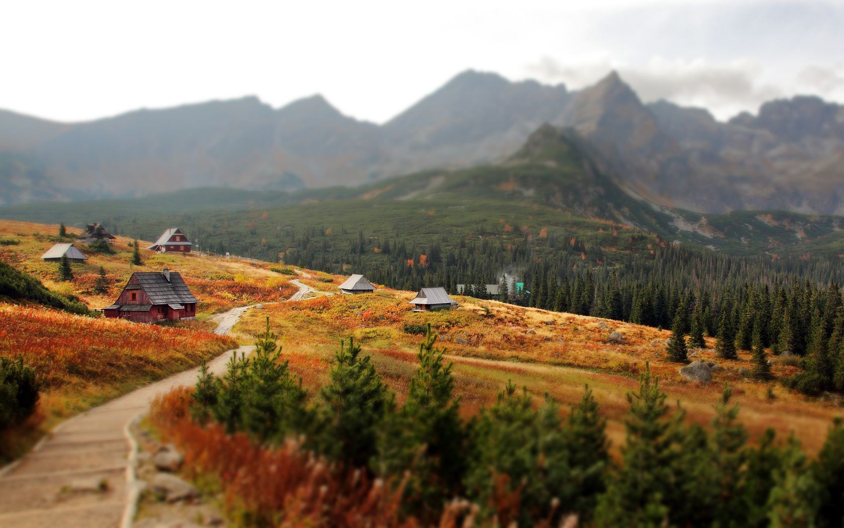 paisaje viajes al aire libre montañas naturaleza paisaje otoño madera árbol cielo tierra cultivada escénico valle