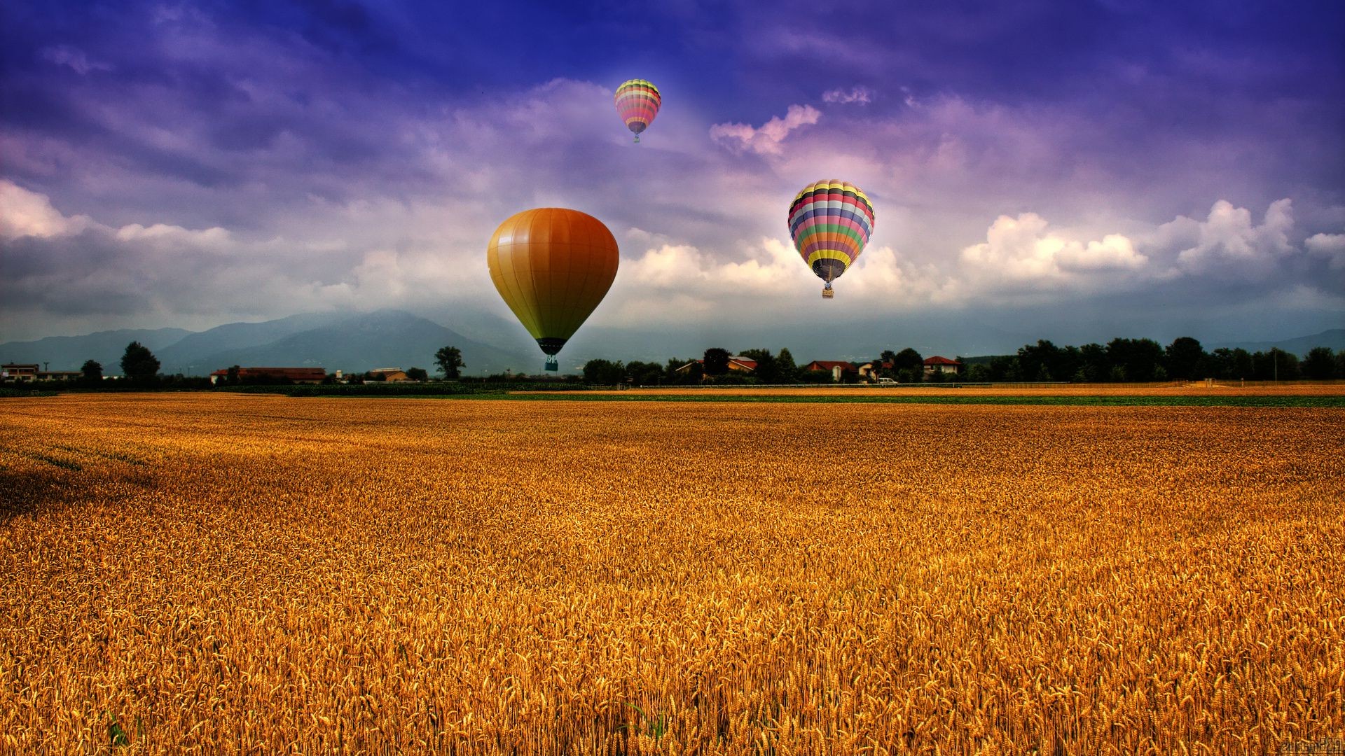 campos prados e vales céu balão rural pasto verão trigo campo campo natureza sol ao ar livre balão quente bom tempo paisagem agricultura