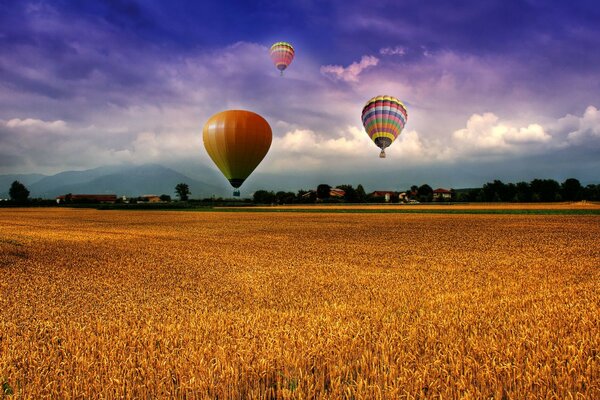 Vol de ballons sur un champ de blé