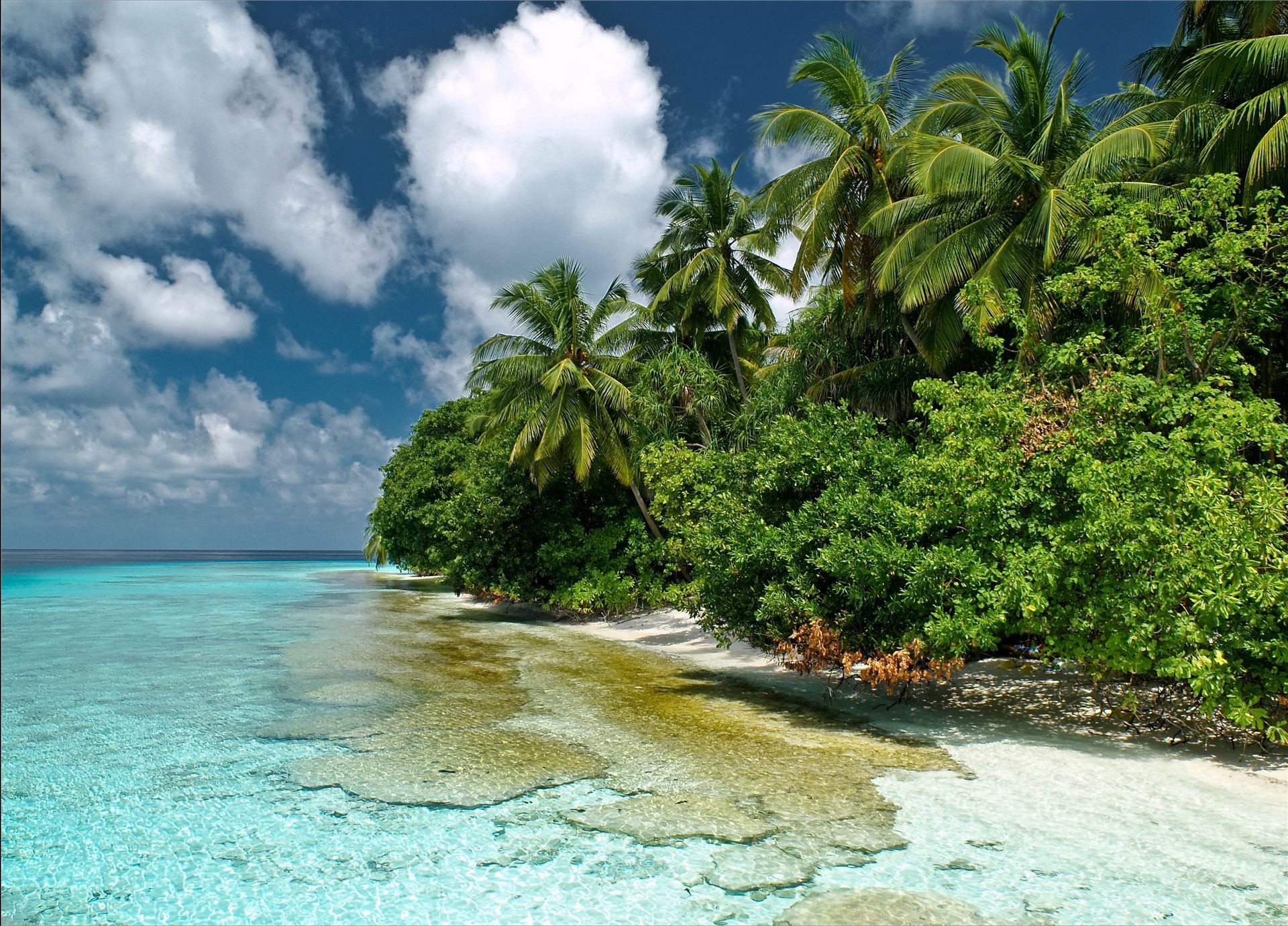 mar y océano tropical agua playa paraíso isla paisaje exótico viajes idilio turquesa mar arena laguna océano vacaciones verano relajación palmas árbol