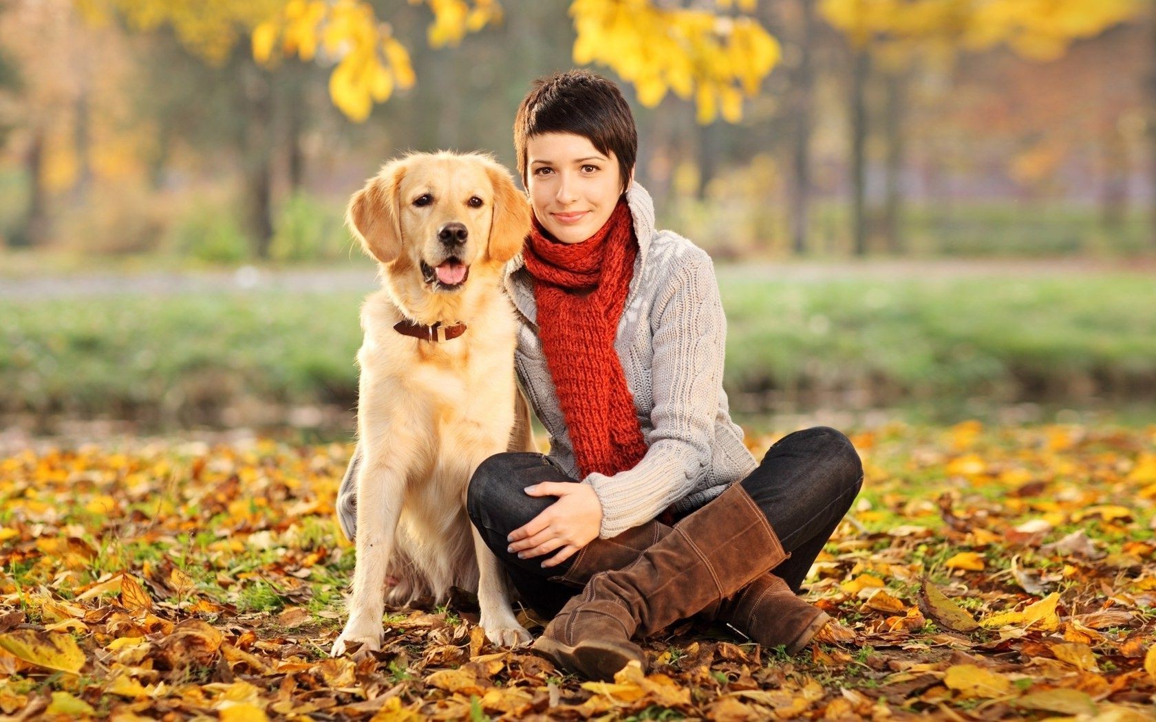 andere mädchen herbst natur park im freien draußen blatt glück liebe gras erholung sitzen mädchen niedlich jung vergnügen schön entspannung hund porträt