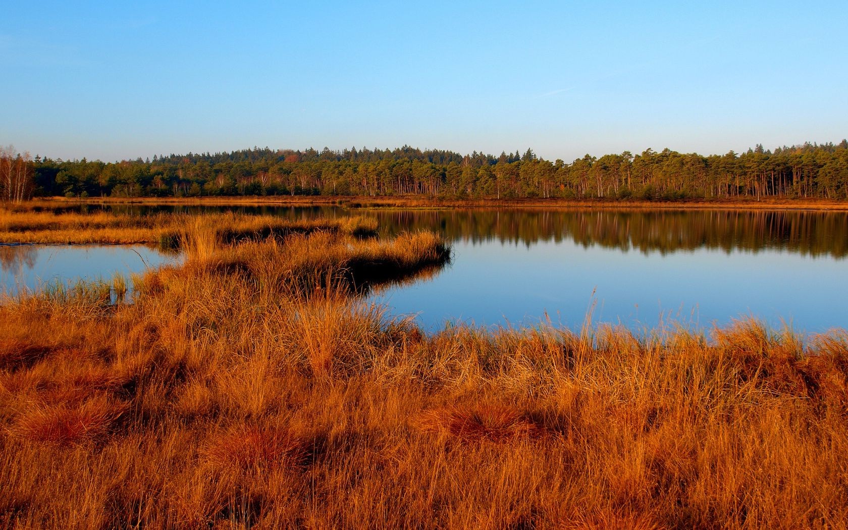 see wasser reflexion herbst landschaft natur fluss marsch im freien dämmerung reed holz holz himmel schwimmbad sumpf gras sonnenuntergang sumpf