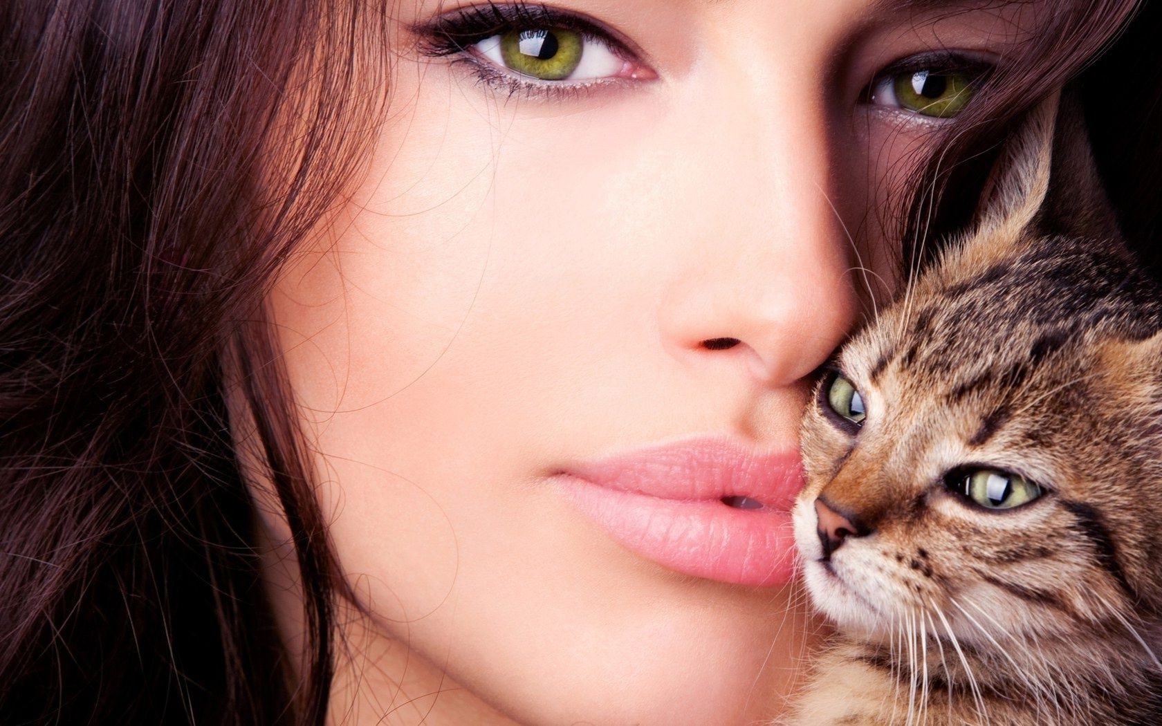 face and smile portrait cute pretty eye young cat hair beautiful studio face animal girl pet