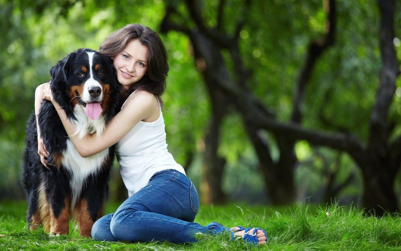 hayvanlarla çimen doğa açık havada yaz park köpek sevimli