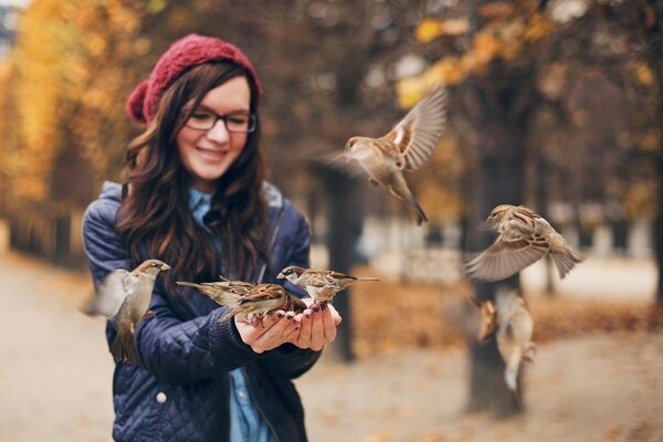 Nourrir les oiseaux. Moineaux mangent des mains