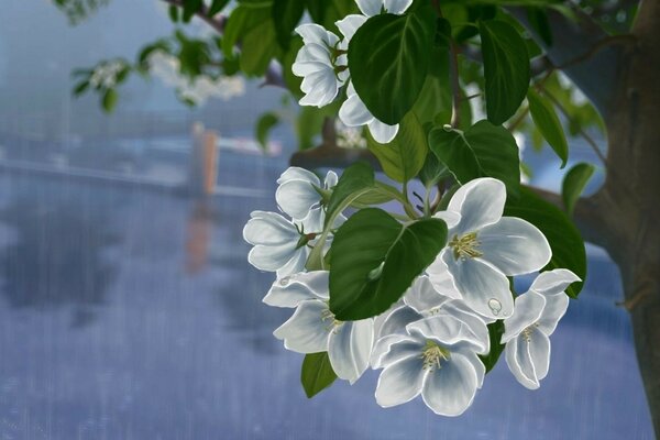 Motif de fleurs blanches sur l arbre