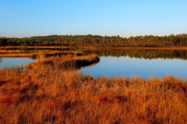 Paisaje otoñal del lago azul