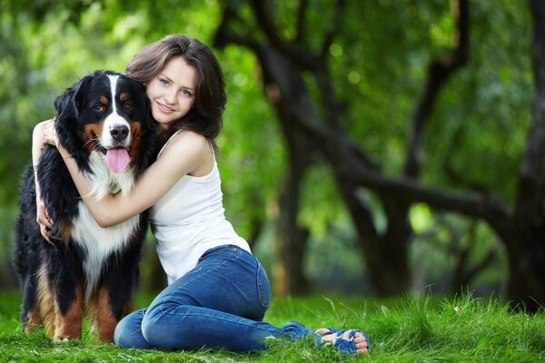 Perro amigo del hombre, en la naturaleza con una chica