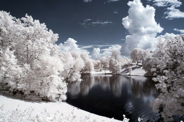 Frosty snowy lake shore