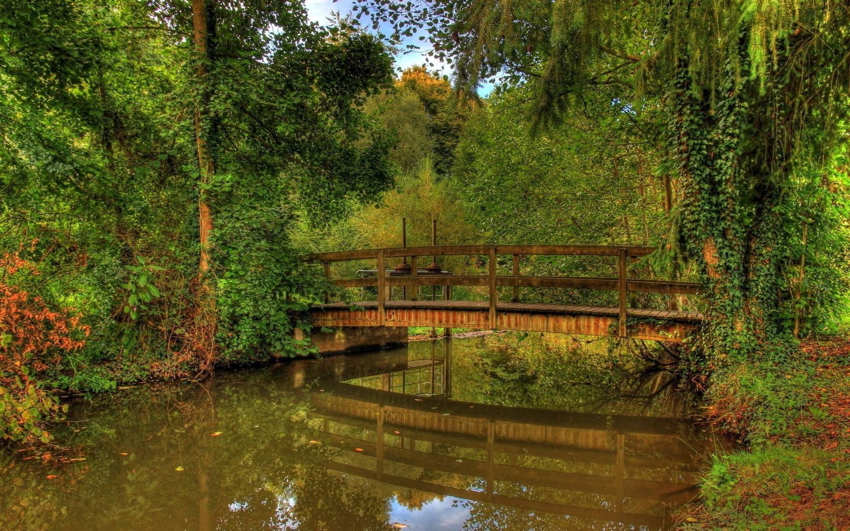 paysage bois eau arbre nature rivière feuille pont parc réflexion paysage piscine lac automne voyage en plein air été guide saison lumière