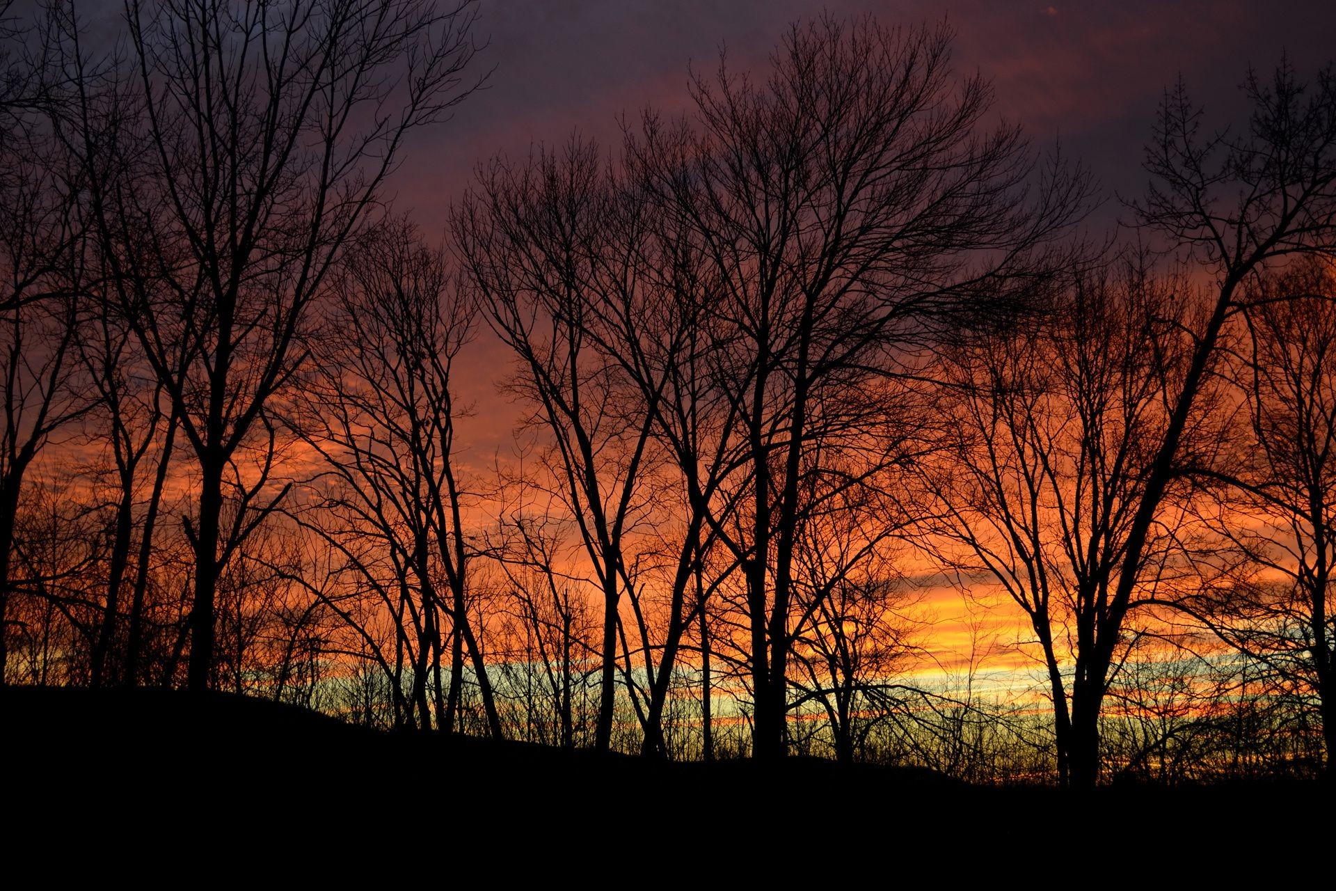 puesta de sol y amanecer amanecer árbol otoño paisaje niebla naturaleza sol niebla puesta de sol madera silueta iluminado buen tiempo