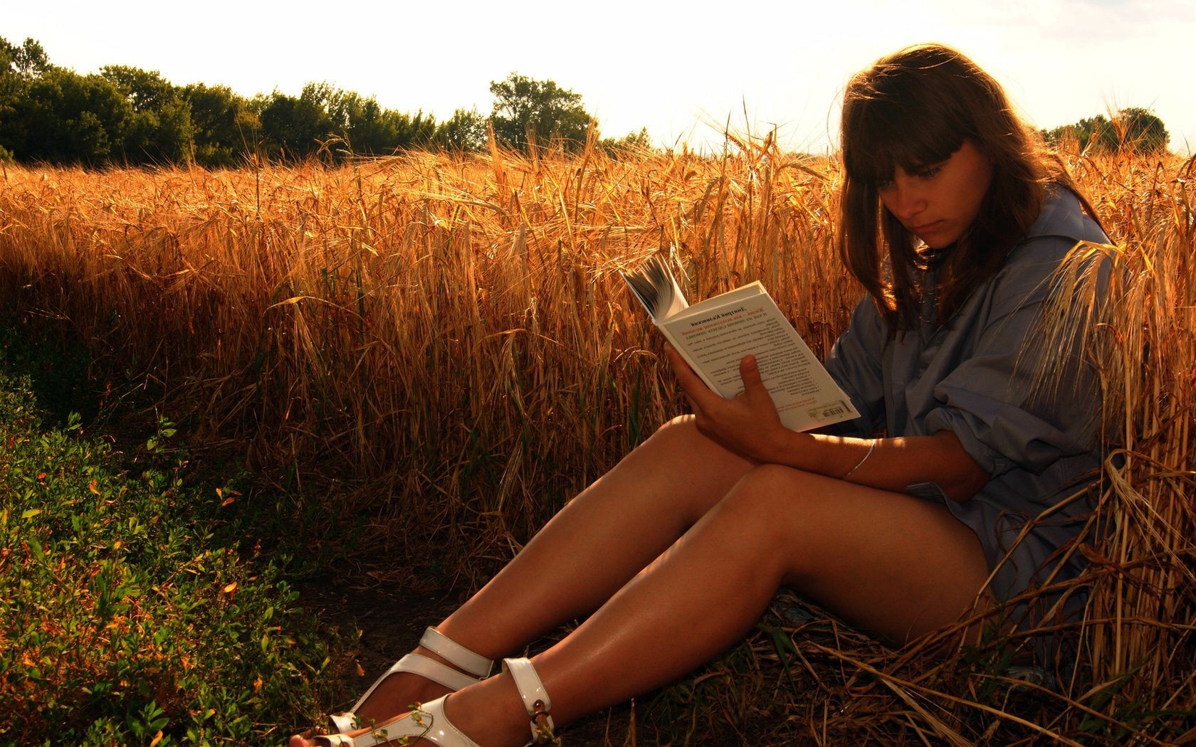 sentar meninas mulher adulto solteiro ao ar livre menina grama lazer relaxamento natureza sentar verão campo