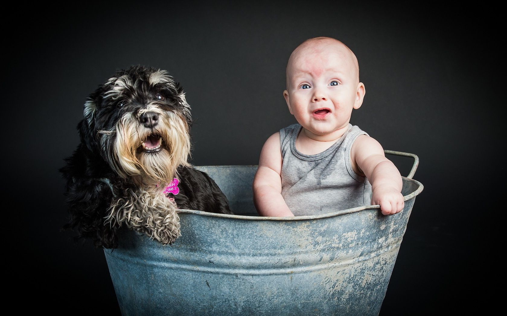 niños con animales pequeño lindo bebé solo divertido interior retrato sentarse bebé perro mascota diversión