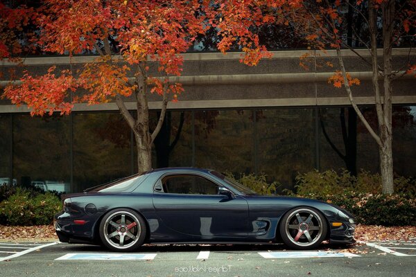 Coche negro en el fondo de otoño